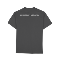 DISCPL CONSISTENCY Regular T-Shirt Graphit Rückansicht Bio-Baumwolle