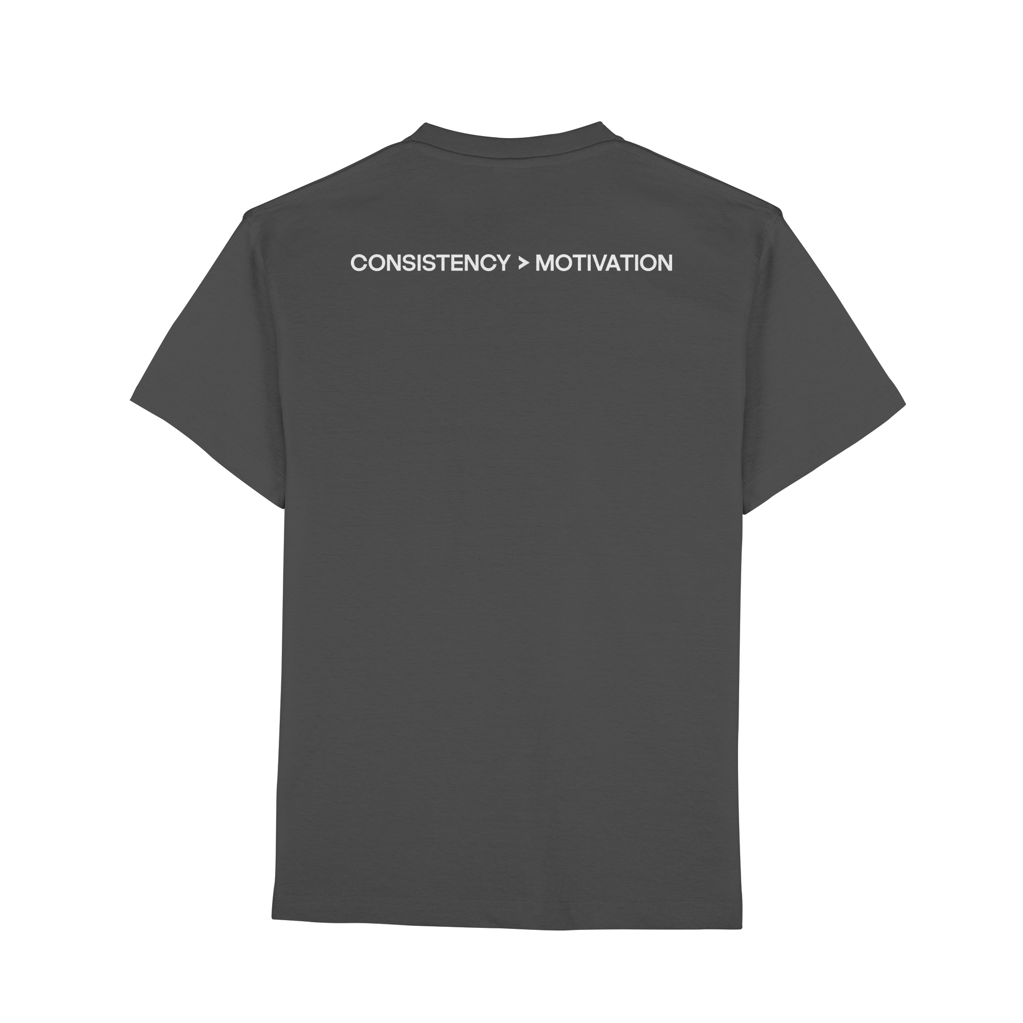 DISCPL CONSISTENCY Regular T-Shirt Graphit Rückansicht Bio-Baumwolle