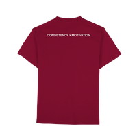 DISCPL CONSISTENCY Regular T-Shirt Wine Rückansicht Bio-Baumwolle