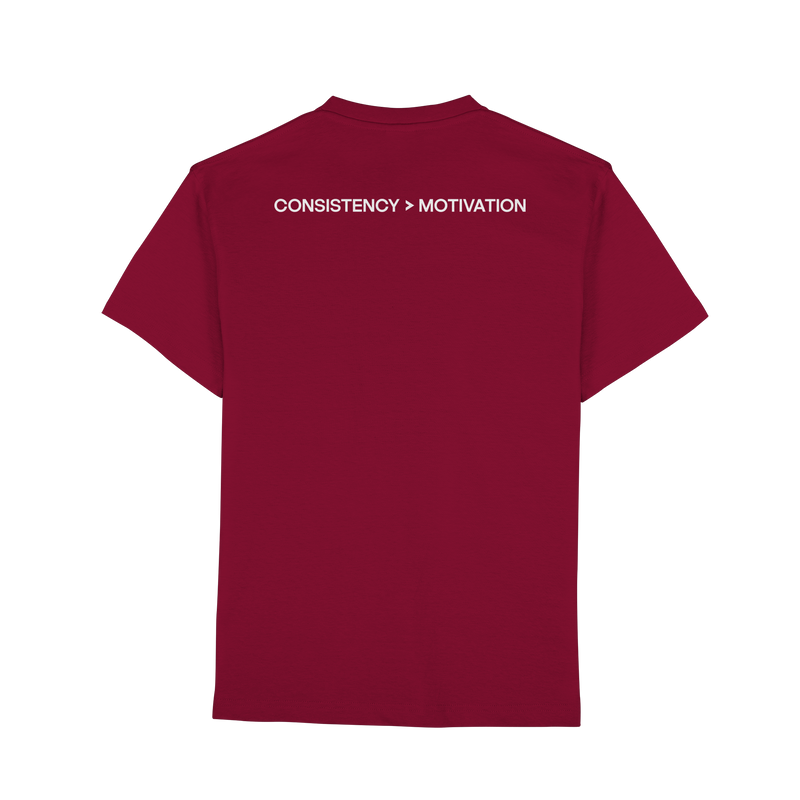 DISCPL CONSISTENCY Regular T-Shirt Wine Rückansicht Bio-Baumwolle
